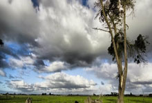 美国篮球队惊险取胜，晋级半决赛