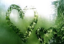 冰岛客场战胜克准果亚，成功闯入欧洲杯预选赛强