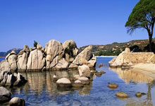 塞尔维亚队连续胜出，晋级在望